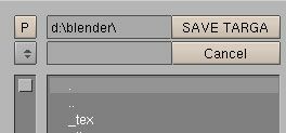 The file window
